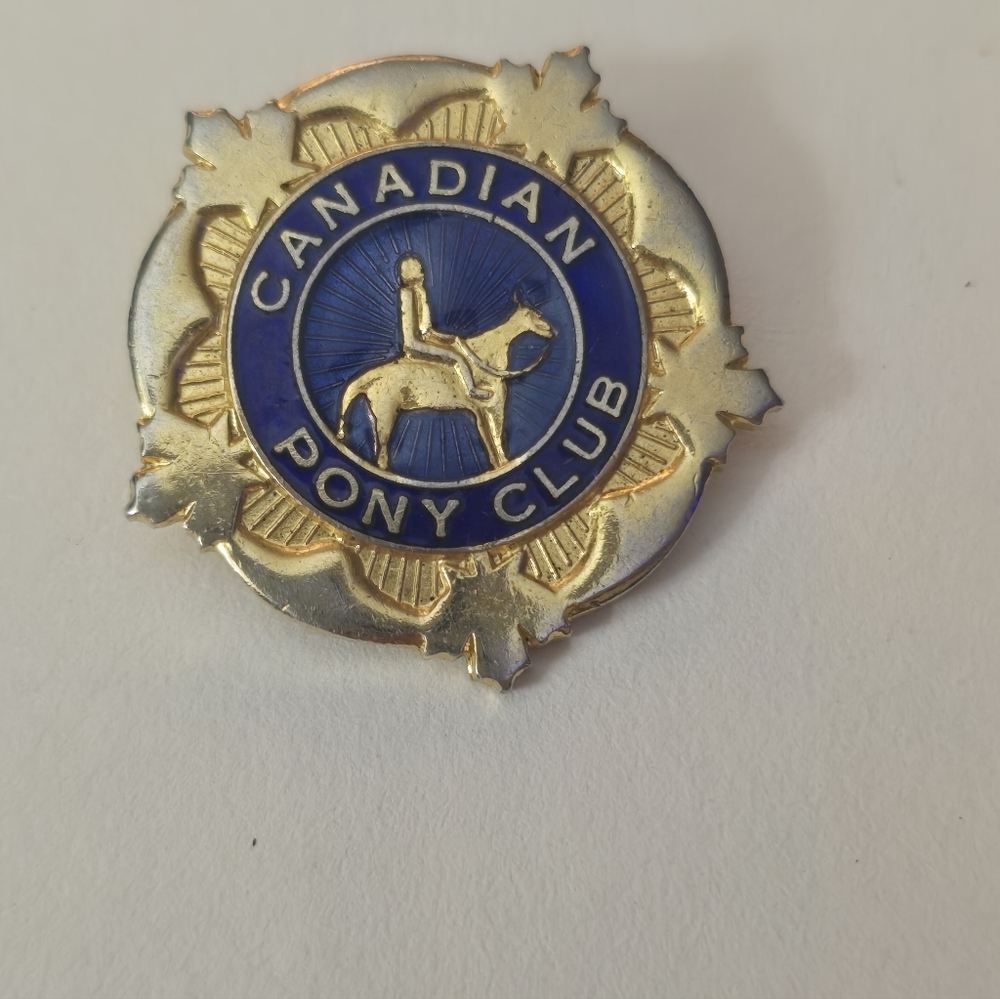 Vintage CANADIAN PONY CLUB LAPEL PIN EQUESTRIAN CANADA In Beautiful